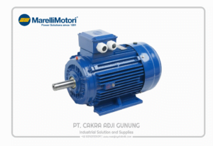 Adji Gunung Group marelli-b3-1024x704-1-300x206 marelli-b3-1024x704  