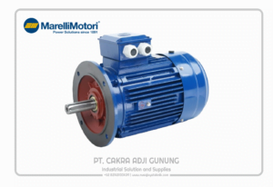 Adji Gunung Group marelli-b5-1024x704-1-300x206 marelli-b5-1024x704  