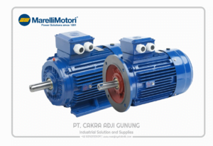 Adji Gunung Group marelli-motori-1024x704-1-300x206 marelli-motori-1024x704  