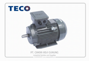 Adji Gunung Group teco-ie1-1024x704-1-300x206 teco-ie1-1024x704  