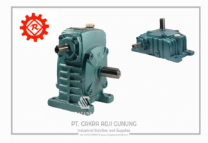 Adji Gunung Group wps-300x206 wps  