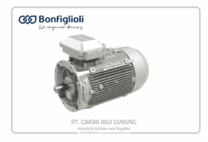 Adji Gunung Group bonfiglioli-1-1024x704-2-300x206 bonfiglioli-1-1024x704  