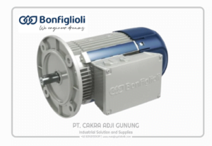 Adji Gunung Group bonfiglioli-2-1024x704-2-300x206 bonfiglioli-2-1024x704  