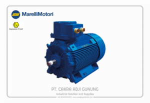 Adji Gunung Group marelli-b3-2-1024x704-1-300x206 marelli-b3-2-1024x704  