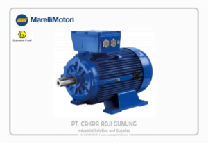 Adji Gunung Group marelli-b35-1024x704-1-300x206 marelli-b35-1024x704  