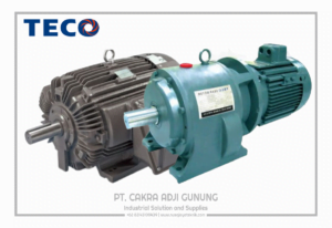 Adji Gunung Group teco-motor-gearbox-300x206 teco-motor-gearbox  