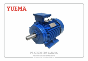 Adji Gunung Group YUEMA-IE3-B3-1-300x206 YUEMA IE3 B3  