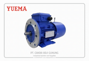 Adji Gunung Group YUEMA-YBD-DC-BRAKE-B35-300x206 YUEMA YBD DC BRAKE B35  