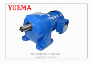 Adji Gunung Group YUEMA-G3LM-300x206 YUEMA G3LM  