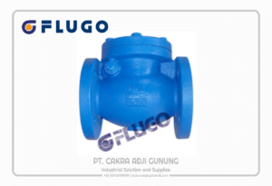 Adji Gunung Group flugo-swing-check-valve-pn16-2-300x206 flugo swing check valve pn16  